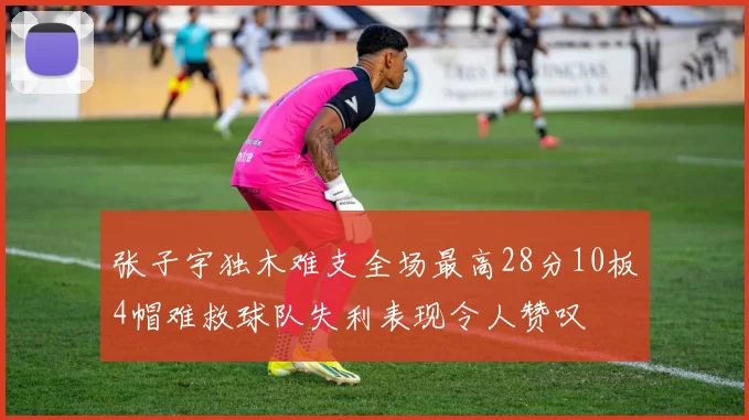 张子宇独木难支全场最高28分10板4帽难救球队失利表现令人赞叹